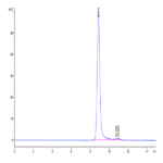Human HLA-A*11:01&B2M&KRAS G12R (VVVGARGVGK) Monomer Protein BP003606 Syd Labs