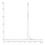 Biotinylated Human HLA-A*11:01&B2M&KRAS G12R (VVVGARGVGK) Monomer Protein C-His-Avi Tag BP003605 Syd Labs