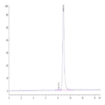 Human HLA-A*11:01&B2M&KRAS G12A (VVVGAAGVGK) Monomer Protein BP003584 Syd Labs
