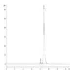 Biotinylated Human HLA-A*11:01&B2M&KRAS G12A (VVVGAAGVGK) Monomer Protein BP003583 Syd Labs