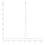 Human HLA-A*02:01&B2M&PRAME (SLLQHLIGL) Monomer Protein BP003509 Syd Labs