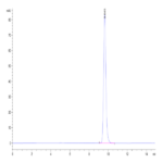 Biotinylated Human HLA-A*02:01&B2M&MAGE-A1 (KVLEYVIKV) Monomer Protein BP003395 Syd Labs