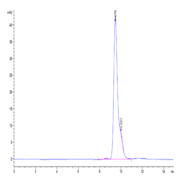 Human HLA-A*02