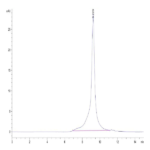 Biotinylated Human Peptide Ready HLA-A*03:01&B2M Monomer Protein BP003292 Syd Labs