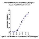 Human HLA-A*11:01&B2M&KRAS G12D (VVVGADGVGK) Monomer Protein BP003327 Syd Labs