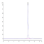 Human HLA-A*11