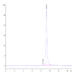 Biotinylated Human Peptide Ready HLA-G&B2M Monomer Protein BP003240 Syd Labs