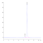 Human Peptide Ready HLA-A*24:02&B2M Monomer Protein BP003221 Syd Labs