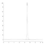 Mouse H-2K (b) &B2M&OVA (SIINFEKL) Monomer Protein BP003270 Syd Labs