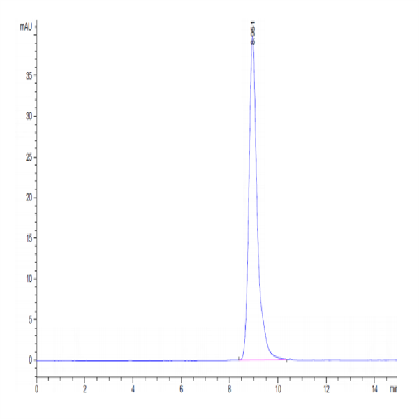 Cynomolgus MICA Protein (MIC-CM10A)