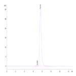 Human MICB Protein (MIC-HM20B)