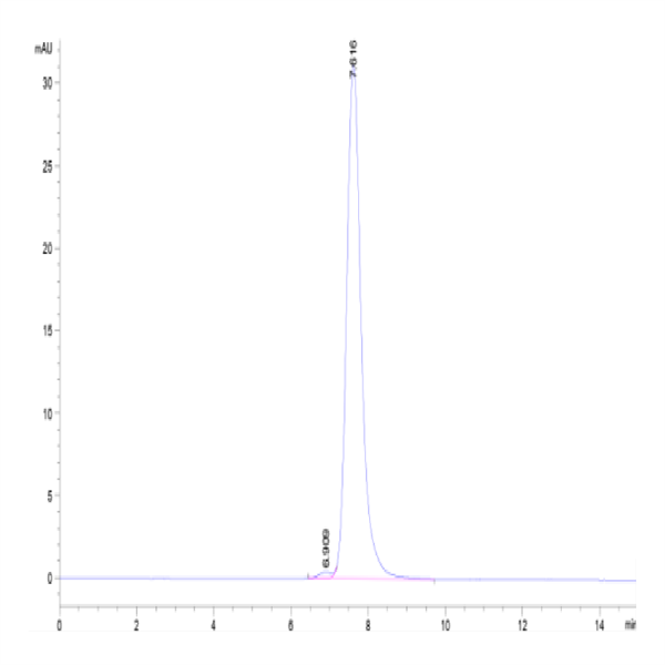 Human MICB Protein (MIC-HM20B)