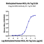 Biotinylated Human MICA Protein BP005760 Syd Labs