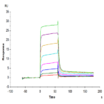 Human MICB Protein BP005513 Syd Labs