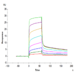Biotinylated Human MICB Protein BP005667 Syd Labs