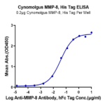 Cynomolgus MMP-8 Protein BP003649 Syd Labs