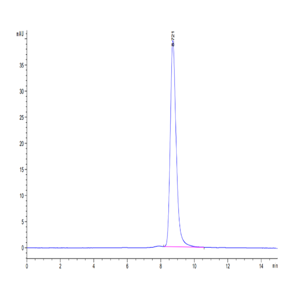 Cynomolgus MMP-8 Protein (MMP-CM108)
