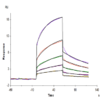 Human MMP-8 Protein BP004618 Syd Labs