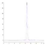 Human MMP-8 Protein (MMP-HM108)