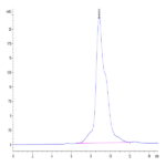 Mouse MMP-8 Protein C-His Tag (pro form) BP004495 Syd Labs
