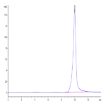 Human MOG/Myelin Oligodendrocyte Glycoprotein Protein BP004349 Syd Labs