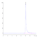 Human MARCO Protein BP004686 Syd Labs