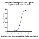 Biotinylated Cynomolgus MSLN/Mesothelin Protein BP005255 Syd Labs