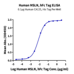Human MSLN/Mesothelin Protein BP005455 Syd Labs