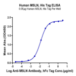 Human MSLN/Mesothelin Protein BP005311 Syd Labs