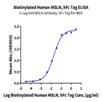 Biotinylated Human MSLN/Mesothelin Protein BP005573 Syd Labs