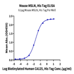 Mouse MSLN/Mesothelin Protein BP005770 Syd Labs