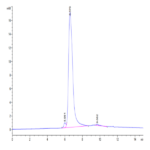 Human MSR1 Protein BP003752 Syd Labs