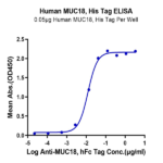 Human MUC18/CD146 Protein BP004517 Syd Labs