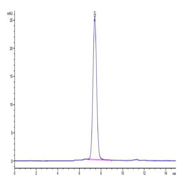 Human MUC18/CD146 Protein (MUC-HM118)