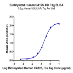 Biotinylated Human CA125/MUC16 Protein BP005286 Syd Labs