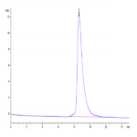 Mouse MXRA8 Protein BP004076 Syd Labs