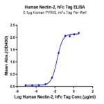 Human Nectin-2/CD112 Protein BP004994 Syd Labs
