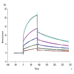 Human Nectin-4 Protein BP005497 Syd Labs
