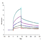 Biotinylated Human Nectin-1/PVRL1/CD111 Protein BP004993 Syd Labs