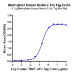 Biotinylated Human Nectin-2/CD112 Protein BP005706 Syd Labs