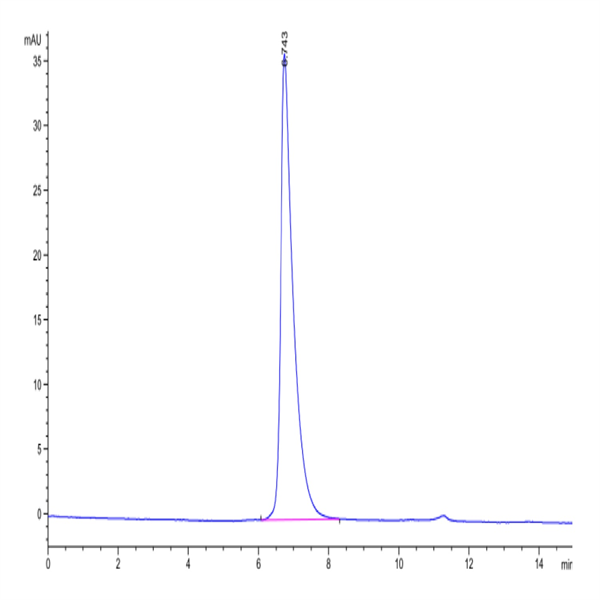 Biotinylated Human Nectin-2/CD112 Protein (NEC-HM402B)