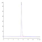 Mouse Nectin-4 Protein BP005662 Syd Labs