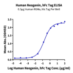 Human Neogenin Protein BP003504 Syd Labs