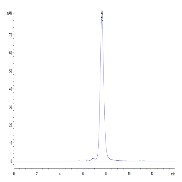Human NKG2A&CD94 Protein (NKC-HM294)