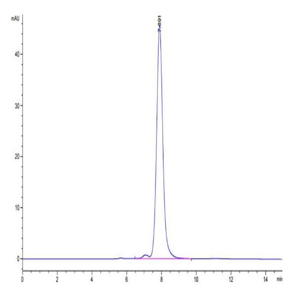 Human NKG2A&CD94 Protein (NKC-HM295)