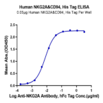 Human NKG2A&CD94 Protein BP005621 Syd Labs