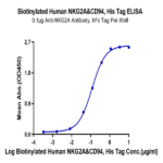 Biotinylated Human NKG2A&CD94 Protein BP005199 Syd Labs