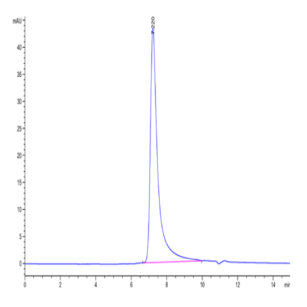 Human NKG2C&CD94 Protein (NKC-HM696)