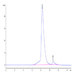 Biotinylated Human NKG2C&CD94 Protein BP003953 Syd Labs