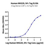 Human NKG2D/CD314 Protein BP005196 Syd Labs